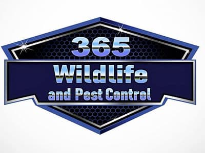 365 Wildlife & Pest Control