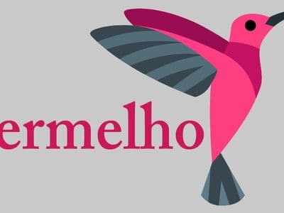 Vermelho logo featuring pink hummingbird illustration beside company name on grey background.
