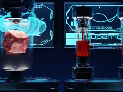 Trump Administration Moves to End Animal Testing in Federal Research