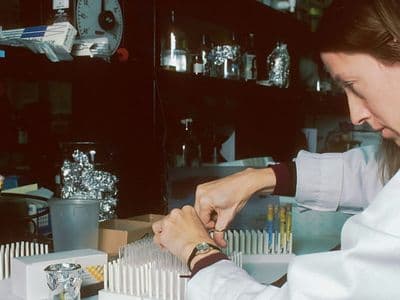 Mayo Clinic’s Microbiome Biobank Pioneers Personalized Cancer Treatment