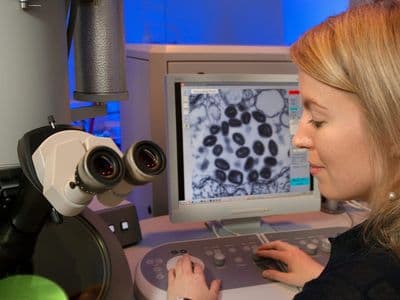 Scientists Uncover Key to Human Limb Regeneration