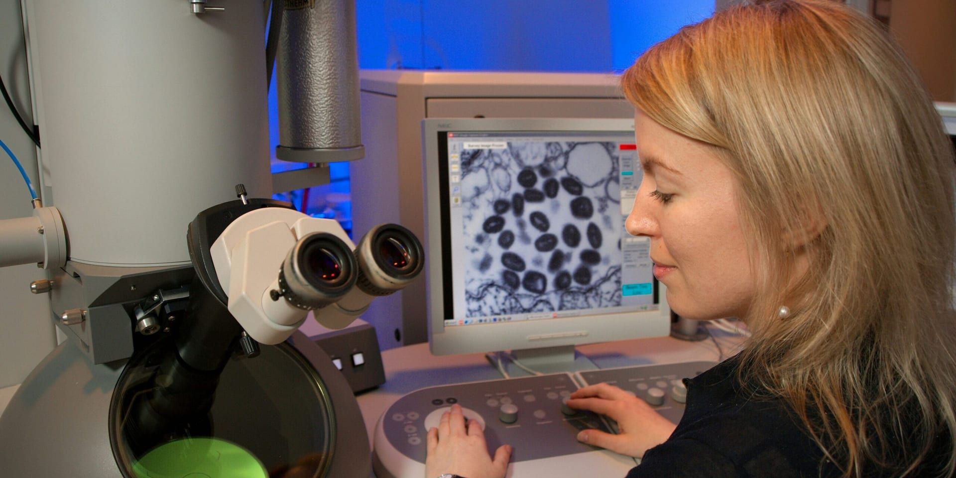 Scientists Uncover Key to Human Limb Regeneration