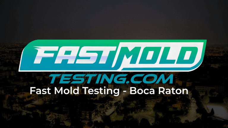 Fast mold testing best mold inspection & testing company in boca raton of 2026
