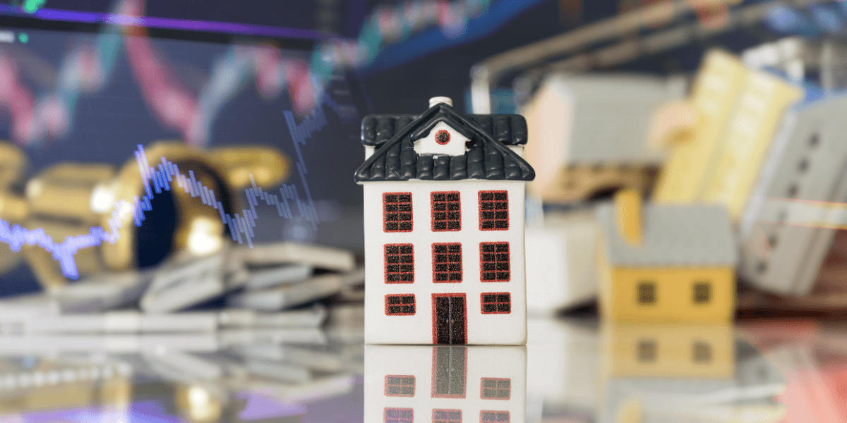 U.S. Equity Markets Rally on February 25, 2026: What Business Leaders Should Know