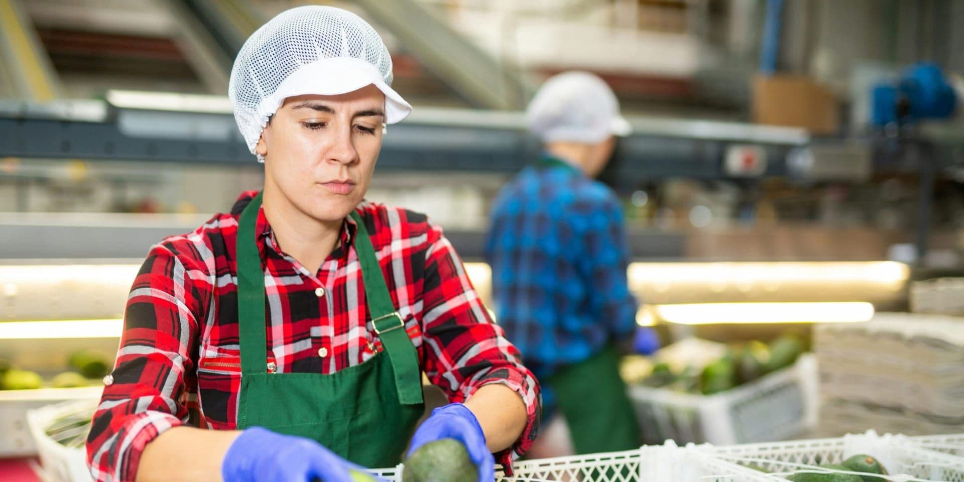 U.S. Labor Market Shows Modest Growth as 2025 Ends, Jobs Data Reveal Slowest Year Since Pandemic