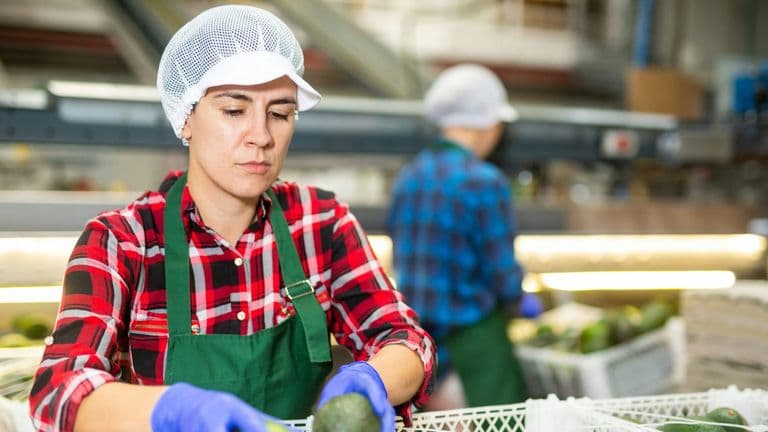 U.S. Labor Market Shows Modest Growth as 2025 Ends, Jobs Data Reveal Slowest Year Since Pandemic