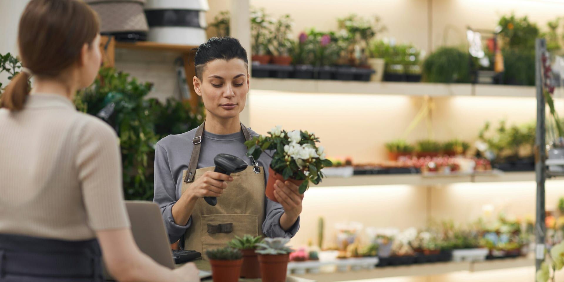 Small Businesses Spark Innovation Surge with Record Patent Activity in 2025