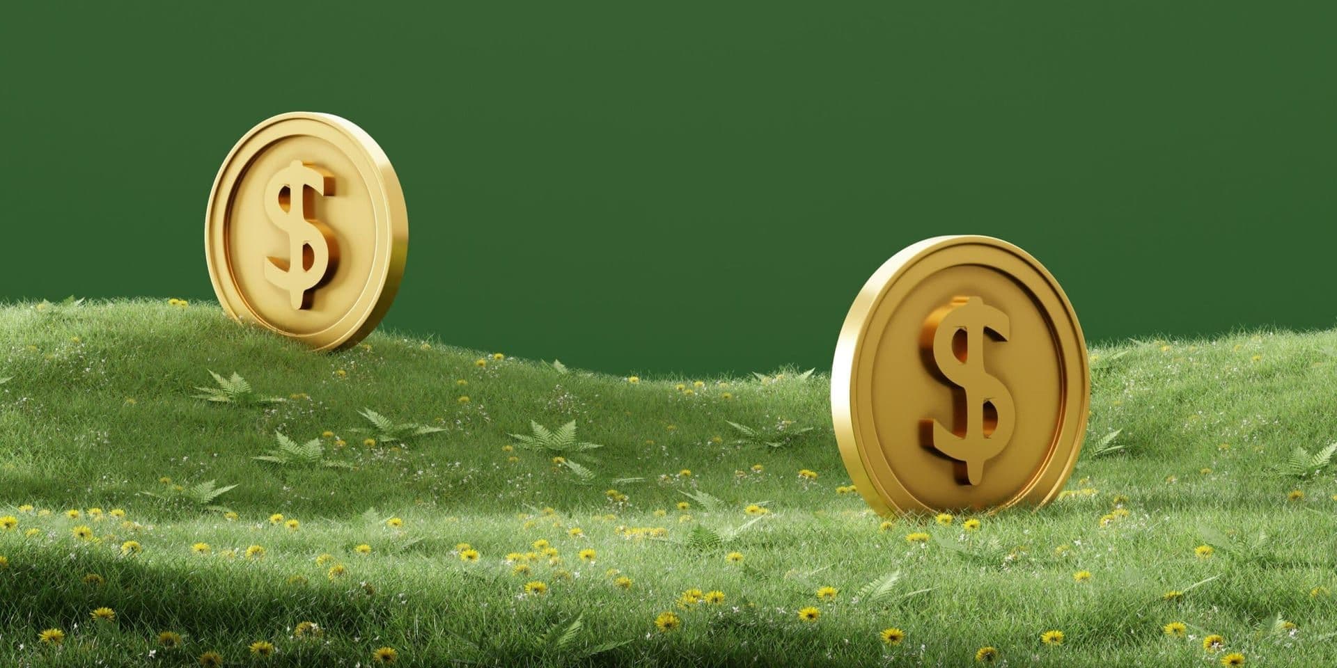 Seed and Grant Opportunities Surge—Helpful for U.S. Founders