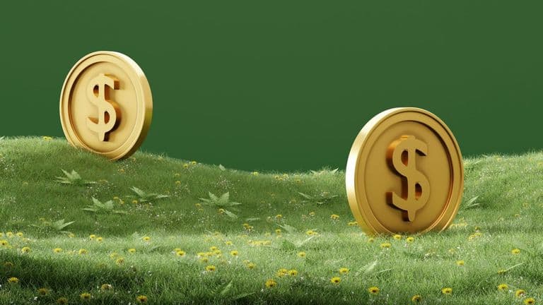 Seed and Grant Opportunities Surge—Helpful for U.S. Founders