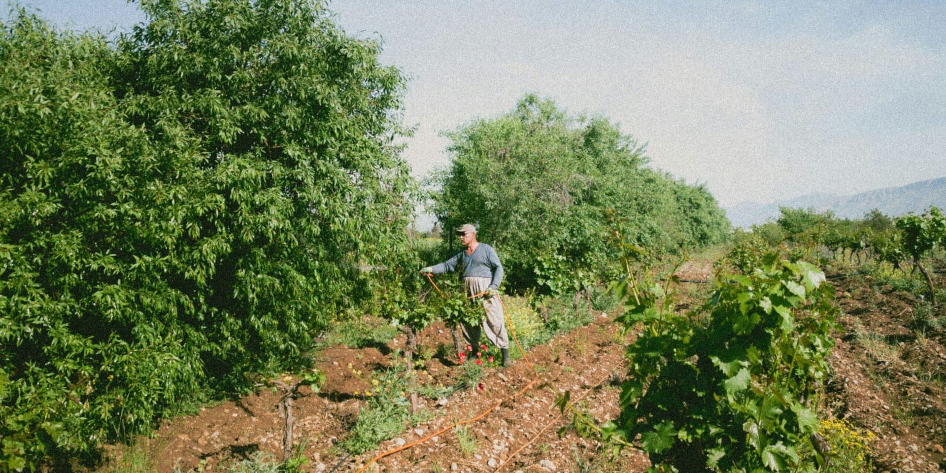 Microplastics in Farmland Soils Surpass Ocean Levels by 23 Times