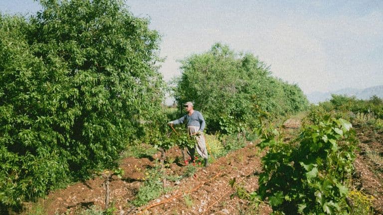 Microplastics in Farmland Soils Surpass Ocean Levels by 23 Times