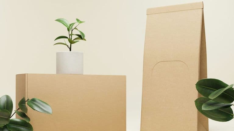 EcoTech Startup GreenPack Secures $50 Million in Funding for Sustainable Packaging Solutions