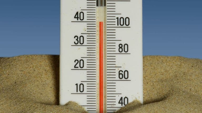U.S. Braces for Another Summer of Extreme Heat Amid Climate Concerns