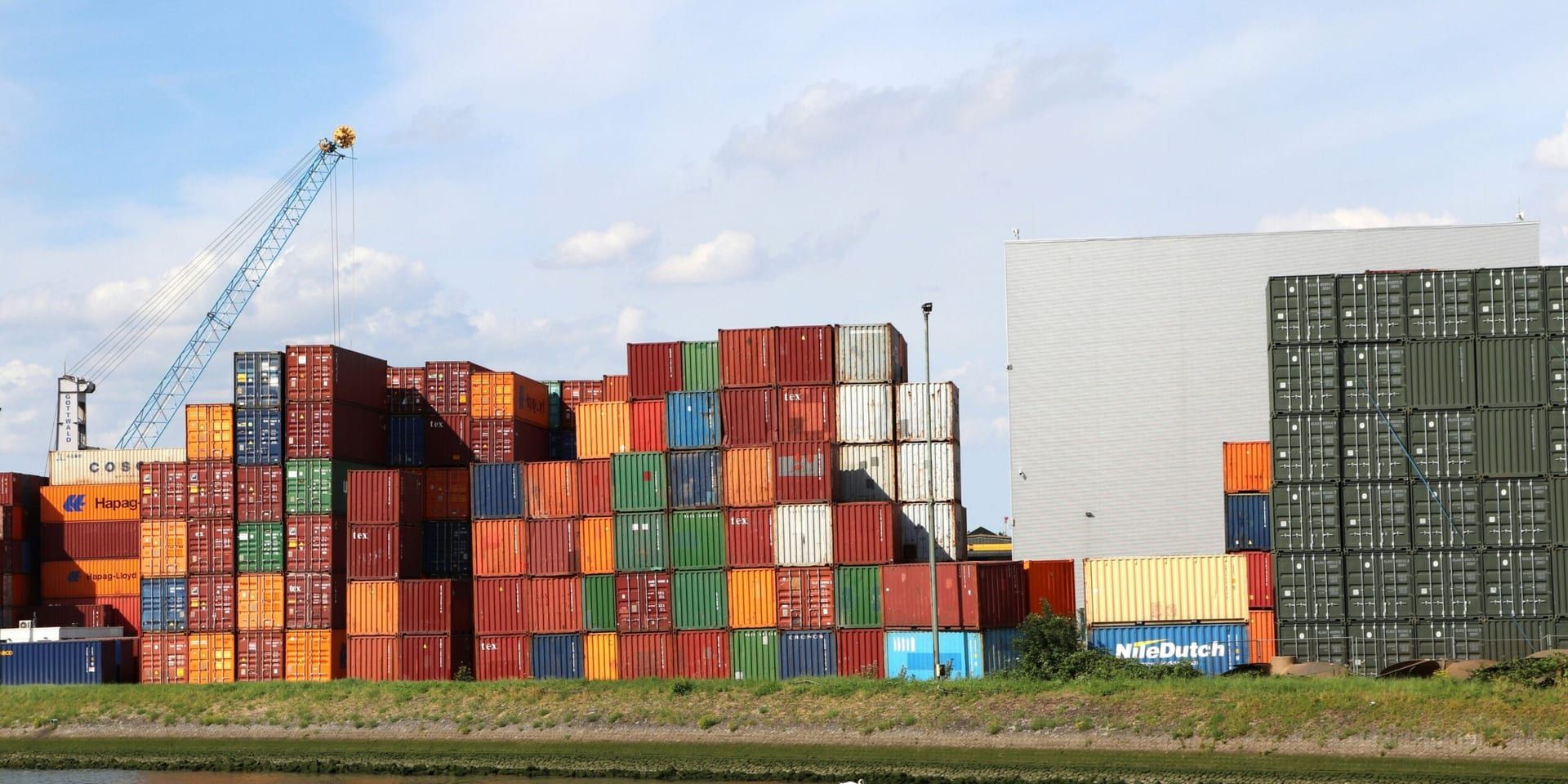 Georgia Businesses Grapple with Tariff-Induced Uncertainty