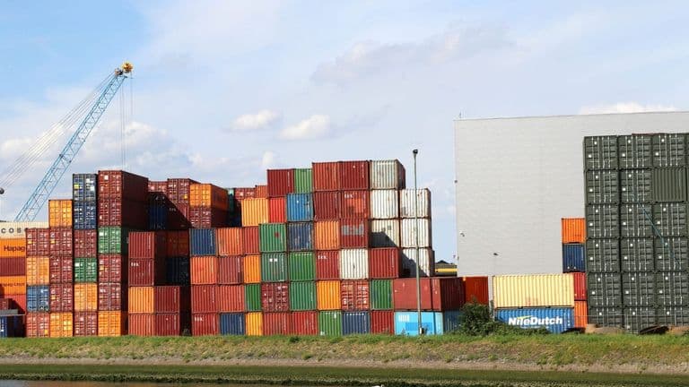 Georgia Businesses Grapple with Tariff-Induced Uncertainty