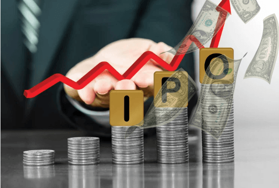 Stripe Unveils IPO Plans Following Landmark Growth Year